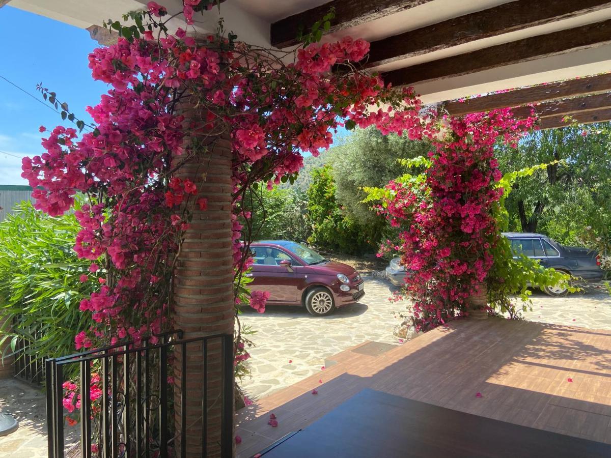 Villa Zahar Periana Buitenkant foto