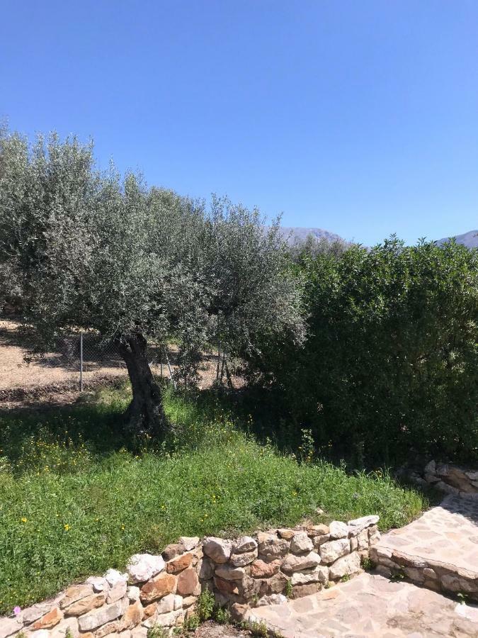 Villa Zahar Periana Buitenkant foto